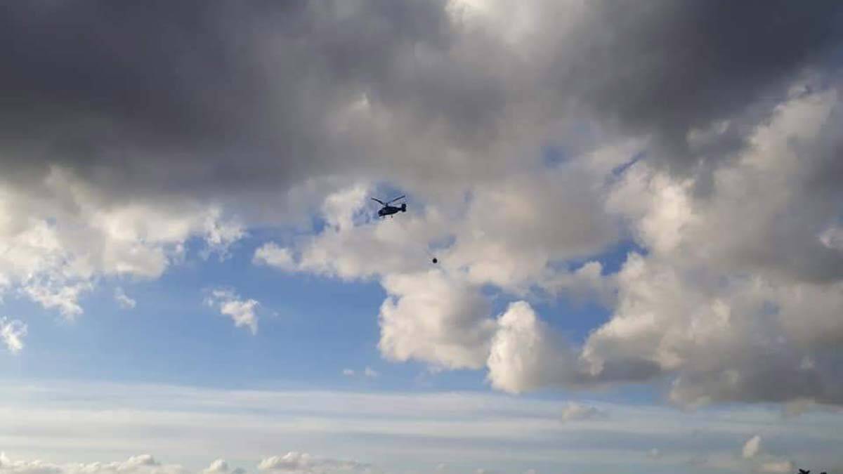 Balıkesir'de orman yangını çıktı