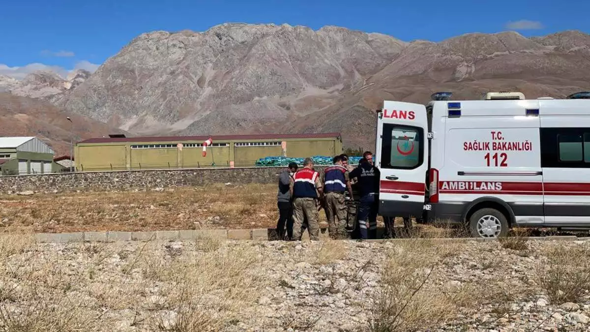 Coban yaylada ayi saldirisina ugradi 2 - yaşam - haberton