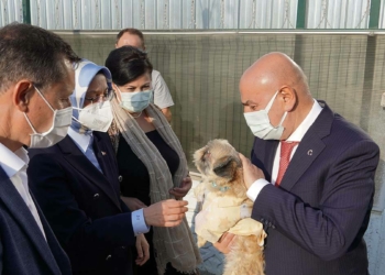 Keçiören Belediyesi 8 bin 376 sokak canlısını tedavi etti