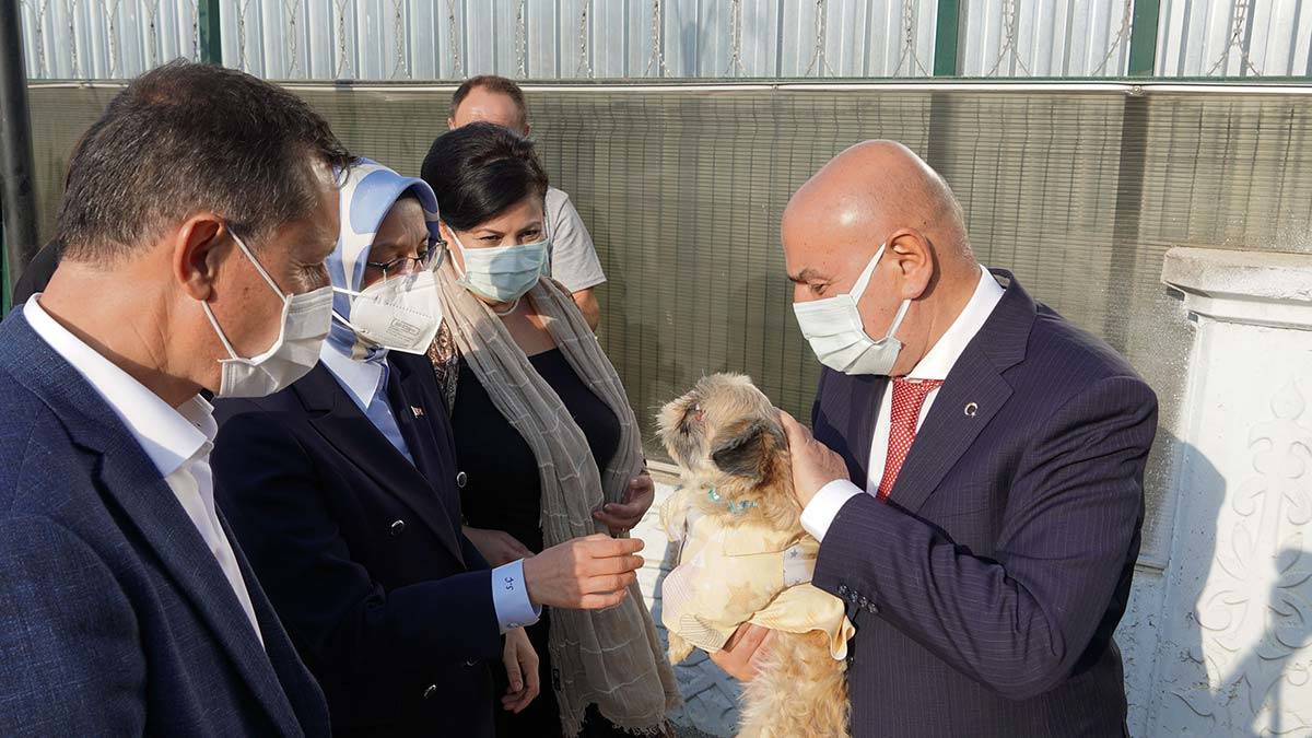 Keçiören Belediyesi 8 bin 376 sokak canlısını tedavi etti