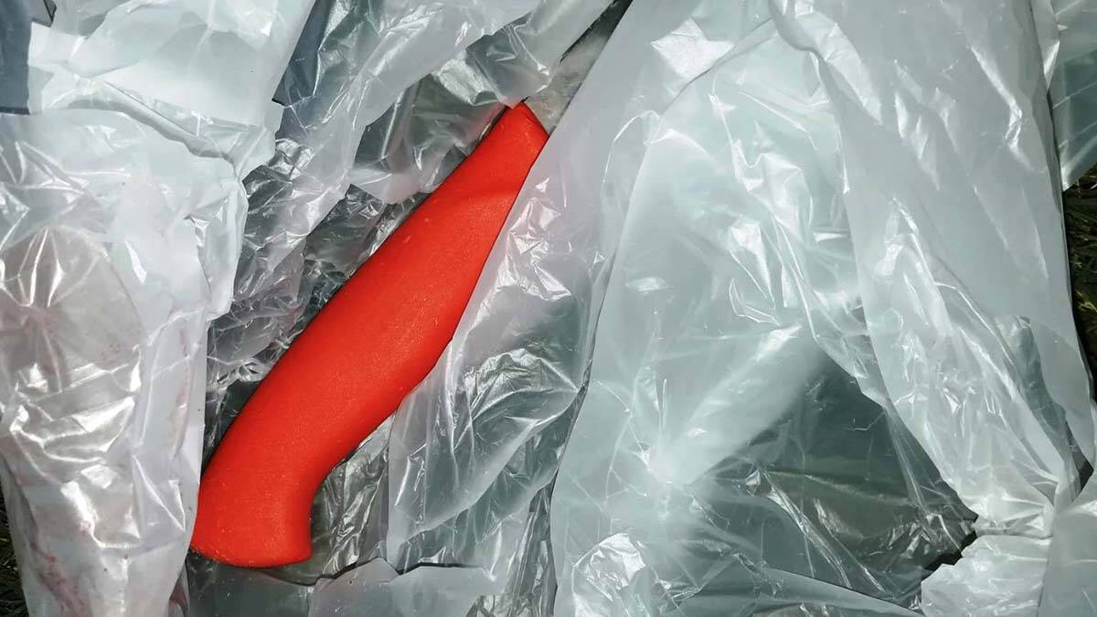 " Sanığın maktulü bıçakla kasten öldürmesinden dolayı ömür boyu hapsi talep ve mütalaa olunur "