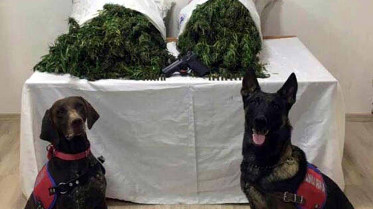 Denizli'de uyuşturucu operasyonu: Şüpheli tutuklandı