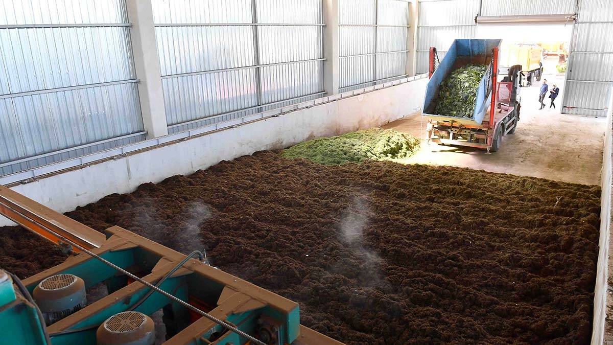 Büyükşehir, atık yaş sebzeleri gübreye dönüştürüyor