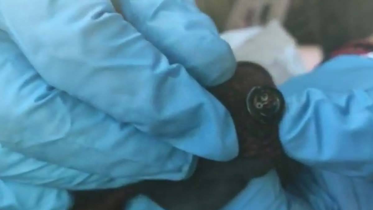 Ehliyet sınavında kopya çekme girişimi: 24 gözaltı