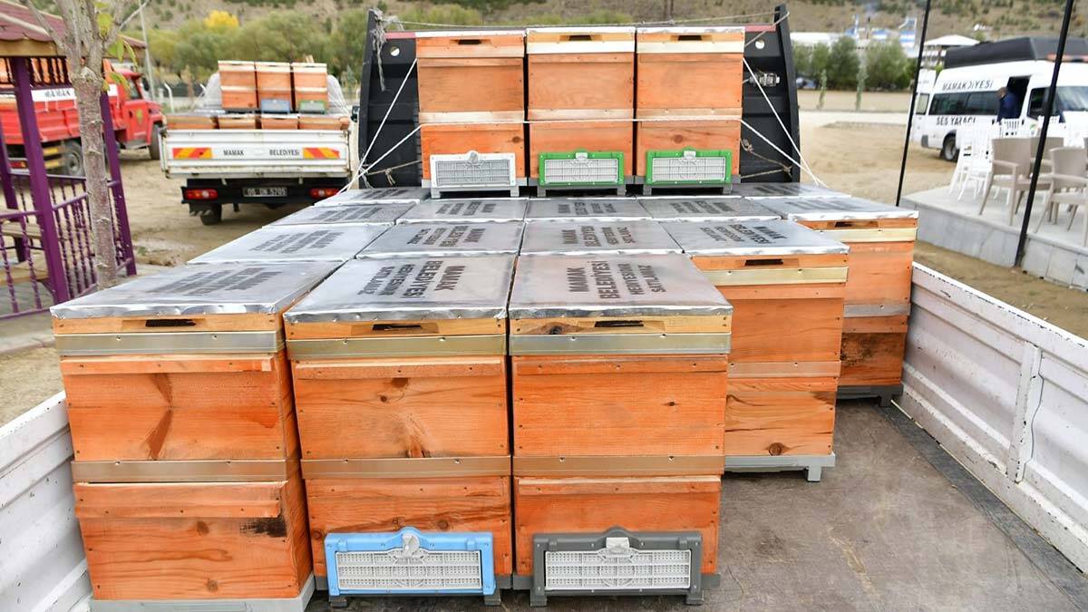 50 girişimci kadına 100 arı kovanı