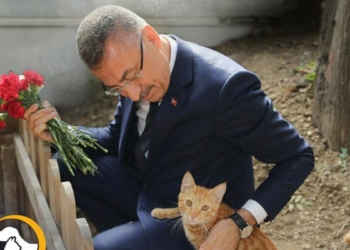 Fuat Oktay'dan Hayvanları Koruma Günü mesajı