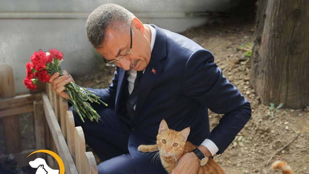 Fuat Oktay'dan Hayvanları Koruma Günü mesajı