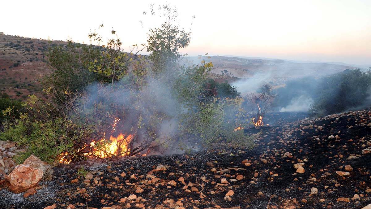 Gaziantep'te yangında 50 dönüm alan zarar gördü