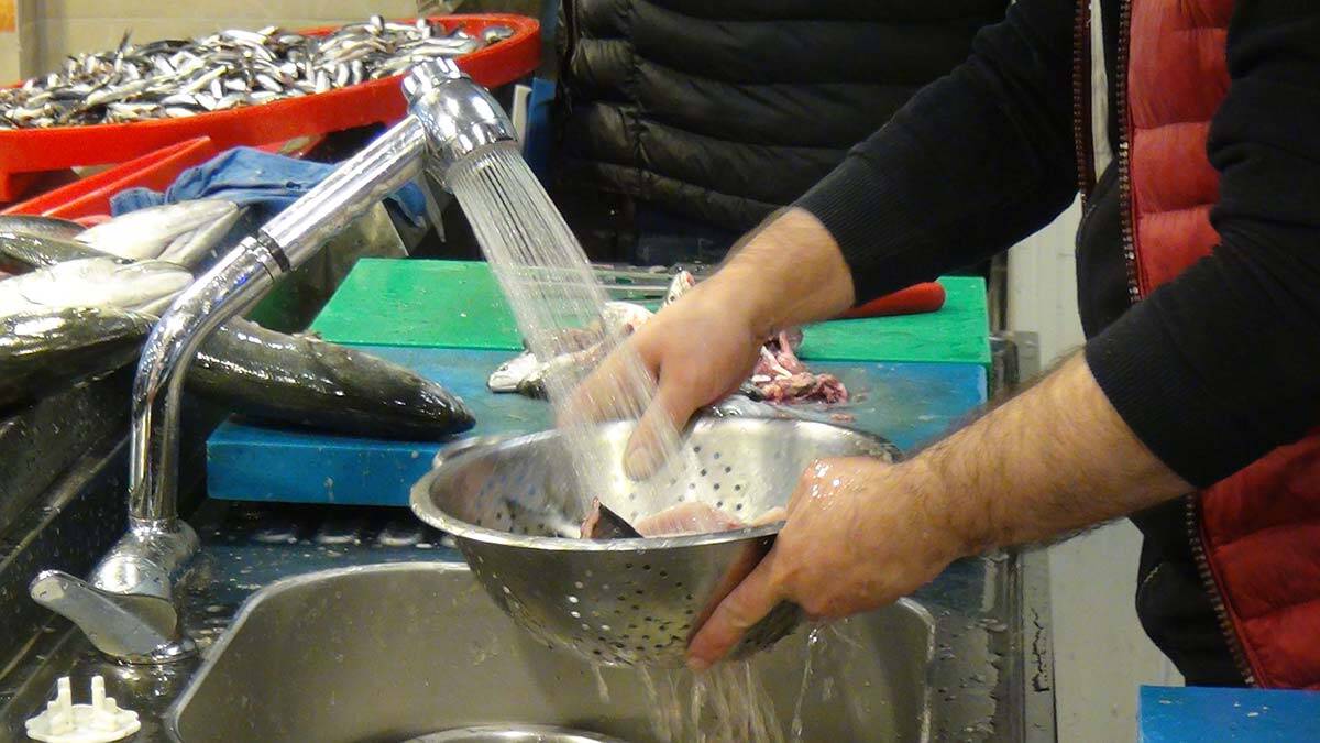 "Bol çıkarsa hamsi 10 liraya kadar düşüyor "