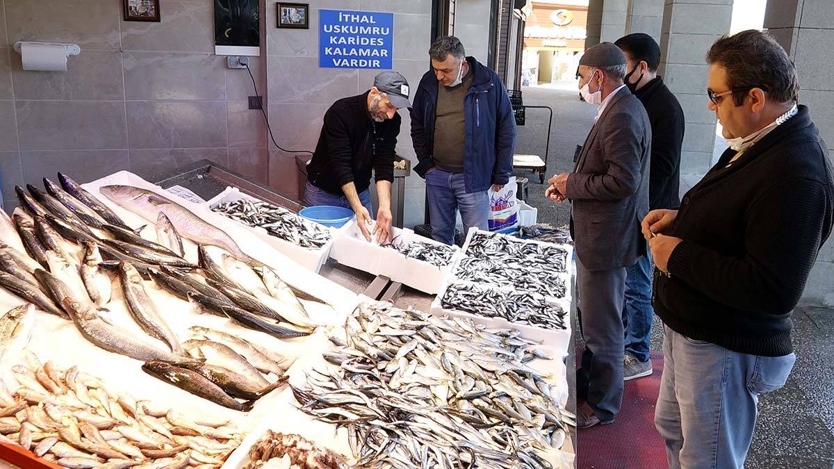 Hamsinin kilosu 20 TL'ye çıktı