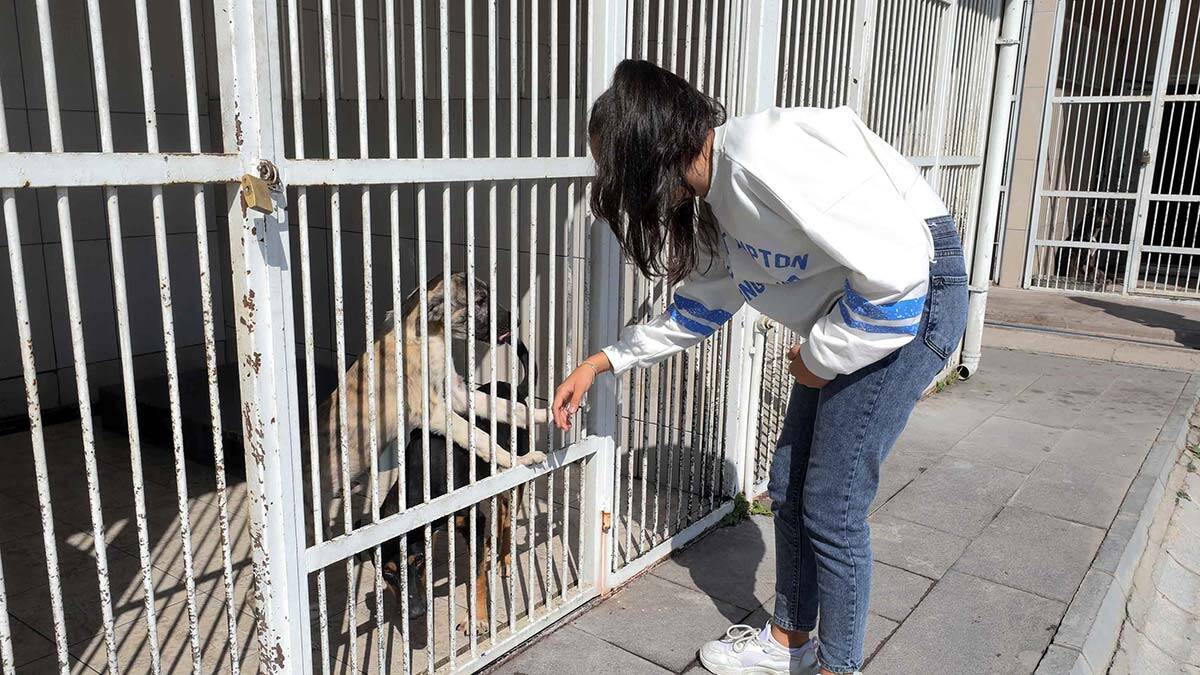 Yenimahalle Belediye Başkanı Fethi Yaşar, “Bu dünya hepimizin, her canlının yaşama hakkı vardır. Geleceğimiz olan çocuklarımıza hayvan sevgisini ve doğa sevgisini aşılamak vatandaşlık görevidir” dedi.