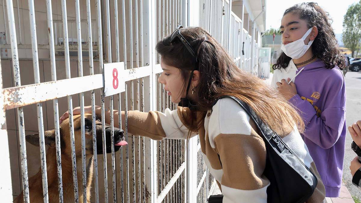 Yenimahalleli çocuklardan barınak ziyareti