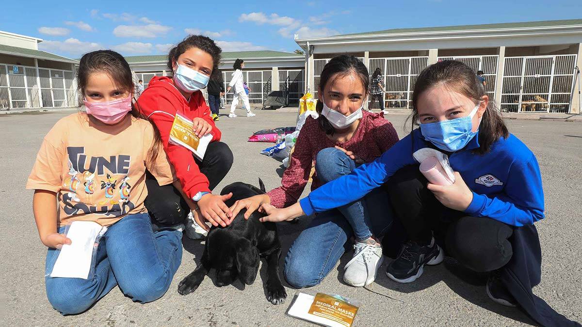 Yenimahalleli çocuklardan barınak ziyareti; Yenimahalle Belediye Başkanı Fethi Yaşar, ilköğretim ve ortaöğretimde eğitim gören çocuklarla birlikte Macunköy’de bulunan Sahipsiz Hayvanlar Bakımevini ziyaret etti.