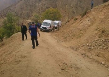 İçişleri: Bingöl'de 2 elektrik işçisi şehit oldu