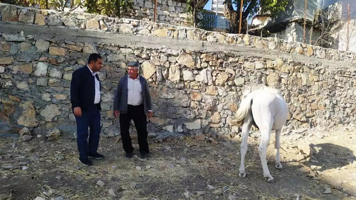 Ilcede karantina ciftciye saldiran kurt kuduz cikti 2 - yaşam - haberton