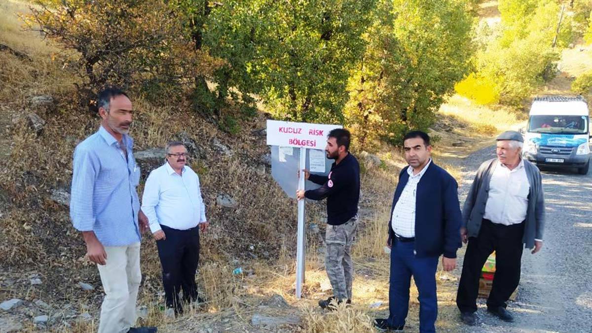 İlçede karantina: Çiftçiye saldıran kurt kuduz çıktı