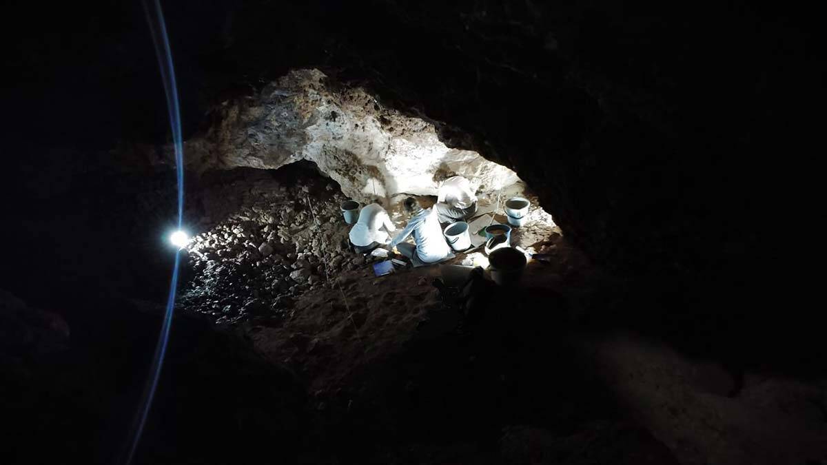 İnkaya kazılarının Anadolu-Balkanlar arasındaki Paleolitik dönem insanlarının göçlerine ışık tutabileceği belirtiliyor.