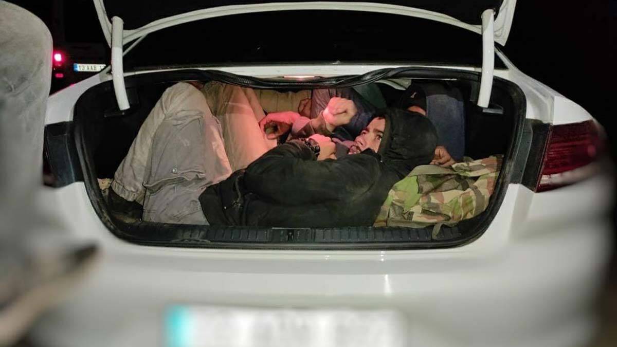 Kaçak göçmen yakalanan otomobil sürücüleri tutuklandı