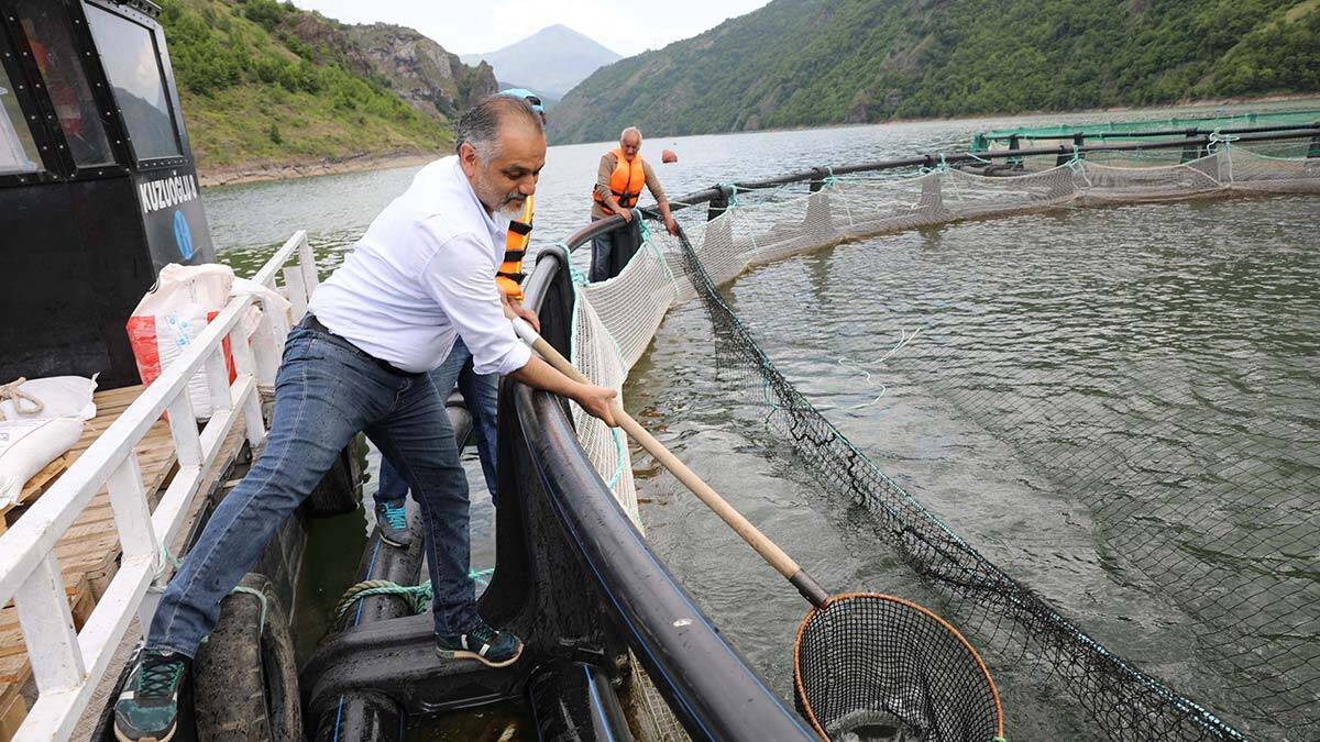 " Türk somonu kesinlikle Norveç somonundan daha kaliteli "