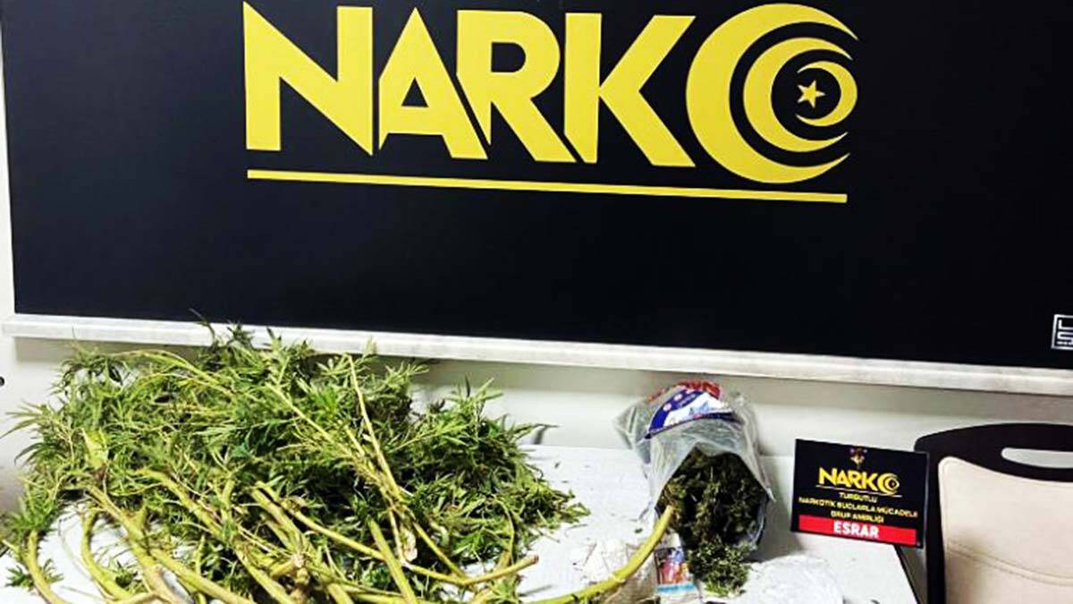 Kök Hint keneviri ile yakalanan şüpheli tutuklandı