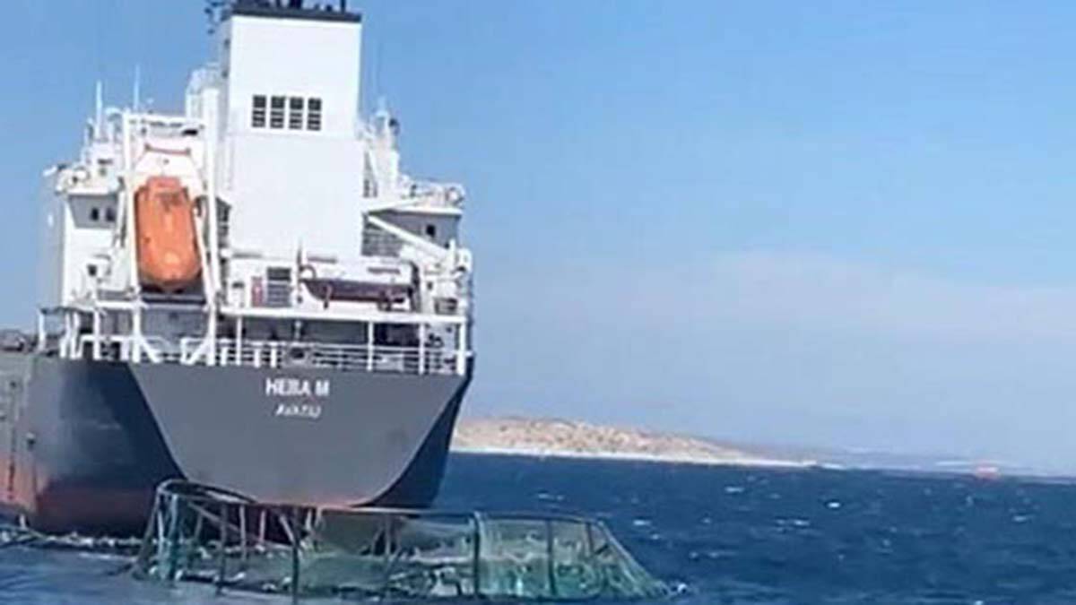 Kuru yük gemisi balık çiftlikleri havuzuna çarptı