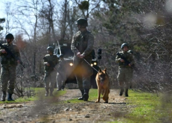 MSB: Hudutlarda 6 kişi yakalandı