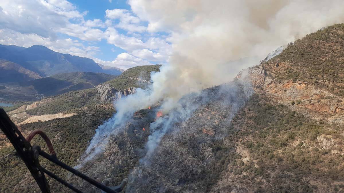 Mersin'in Anamur ilçesinde orman yangını çıktı