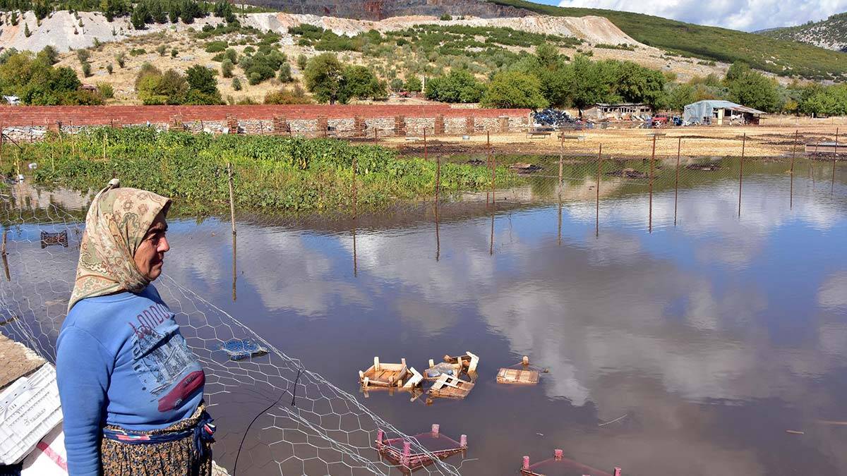 Muğla'da şiddetli yağış: Küçükbaş hayvanlar öldüMuğla'da şiddetli yağış: Küçükbaş hayvanlar öldü
