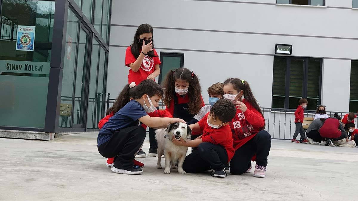 Ortahisar Sevgi Aşısı projesi kentte ilgi ile karşılandı