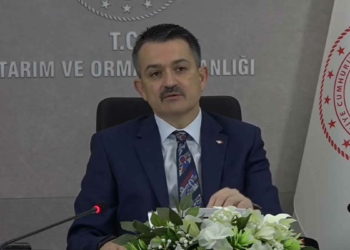 Pakdemirli: Dünyada son 50 yılda afetler 5 kat arttı