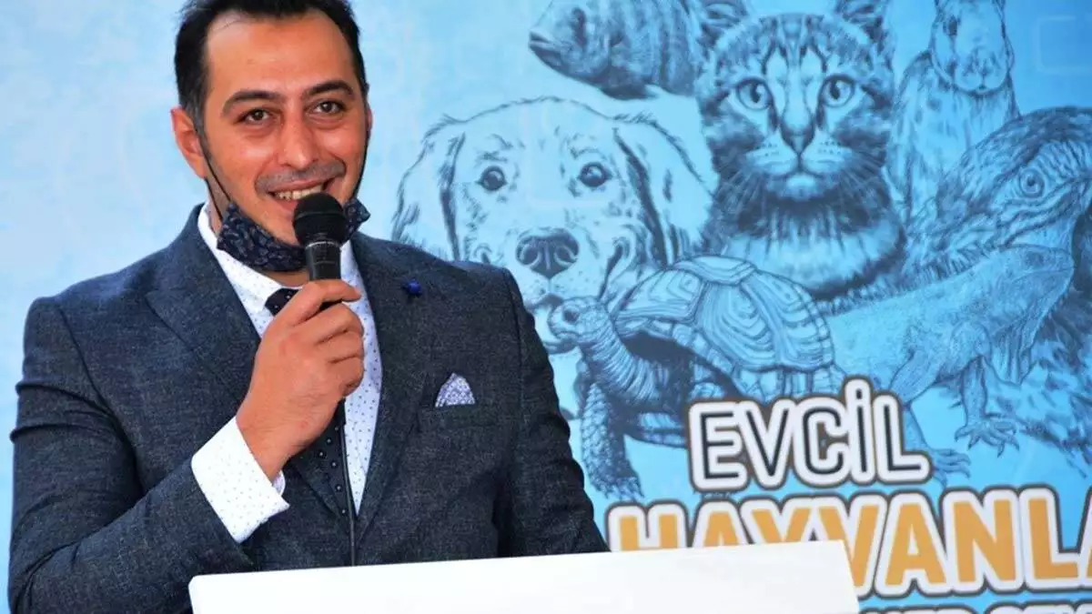 Pet urunleri pazari 1 milyar dolar sinirina yaklasti - i̇ş dünyası - haberton