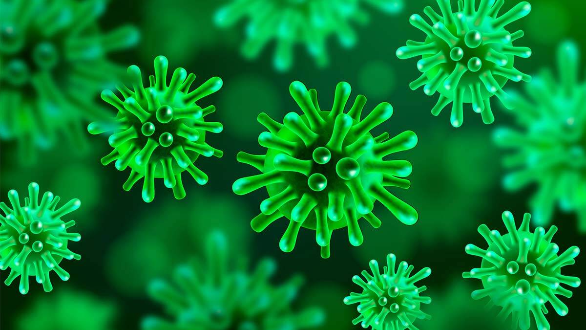 Prof. Dr. Buruk: Virüs, mevsimsel grip gibi olacak