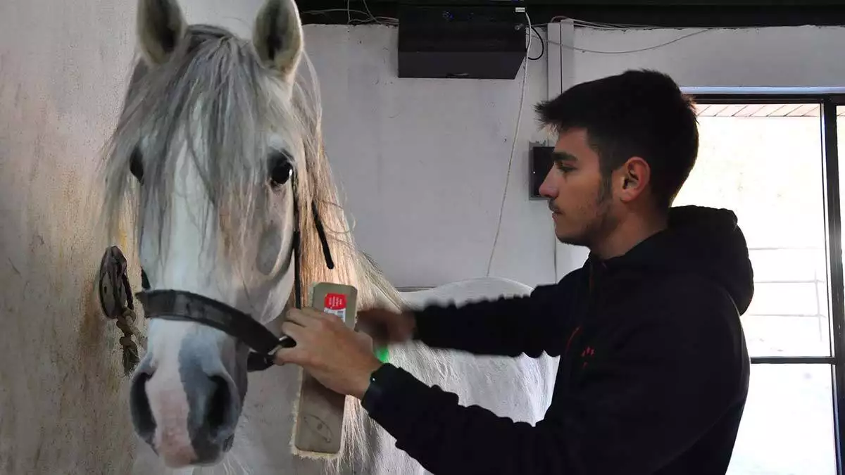 Öğrenciler için at üzerinde gezi turları düzenleniyor