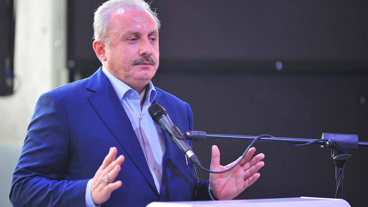 Şentop, Ahmed Cevdet Paşa Sempozyumu'nda