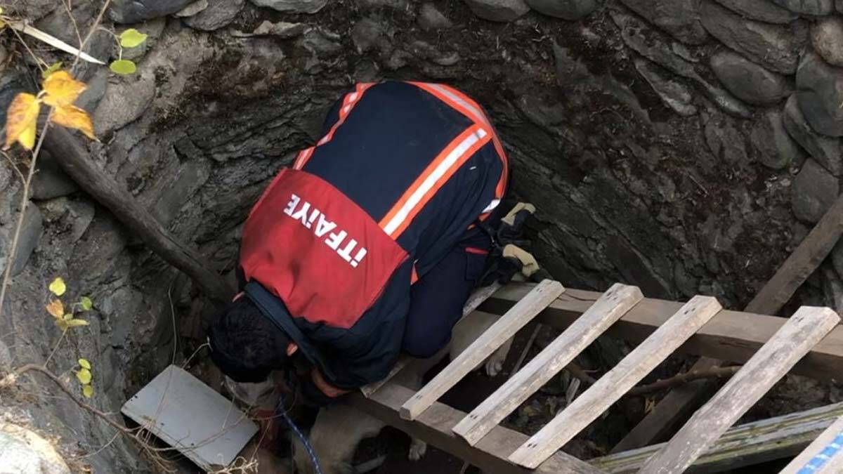 Boş su kuyusundan gelen köpek sesini duyanlar itfaiyeye bildirdi