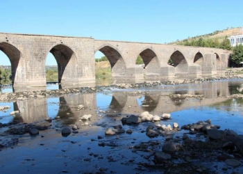 Su seviyesi düşen Dicle Nehri'nde balık ölümleri