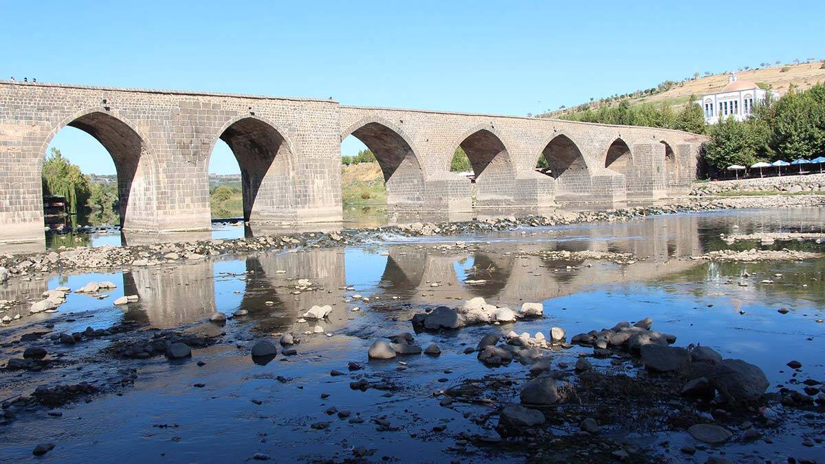 Su seviyesi düşen Dicle Nehri'nde balık ölümleri