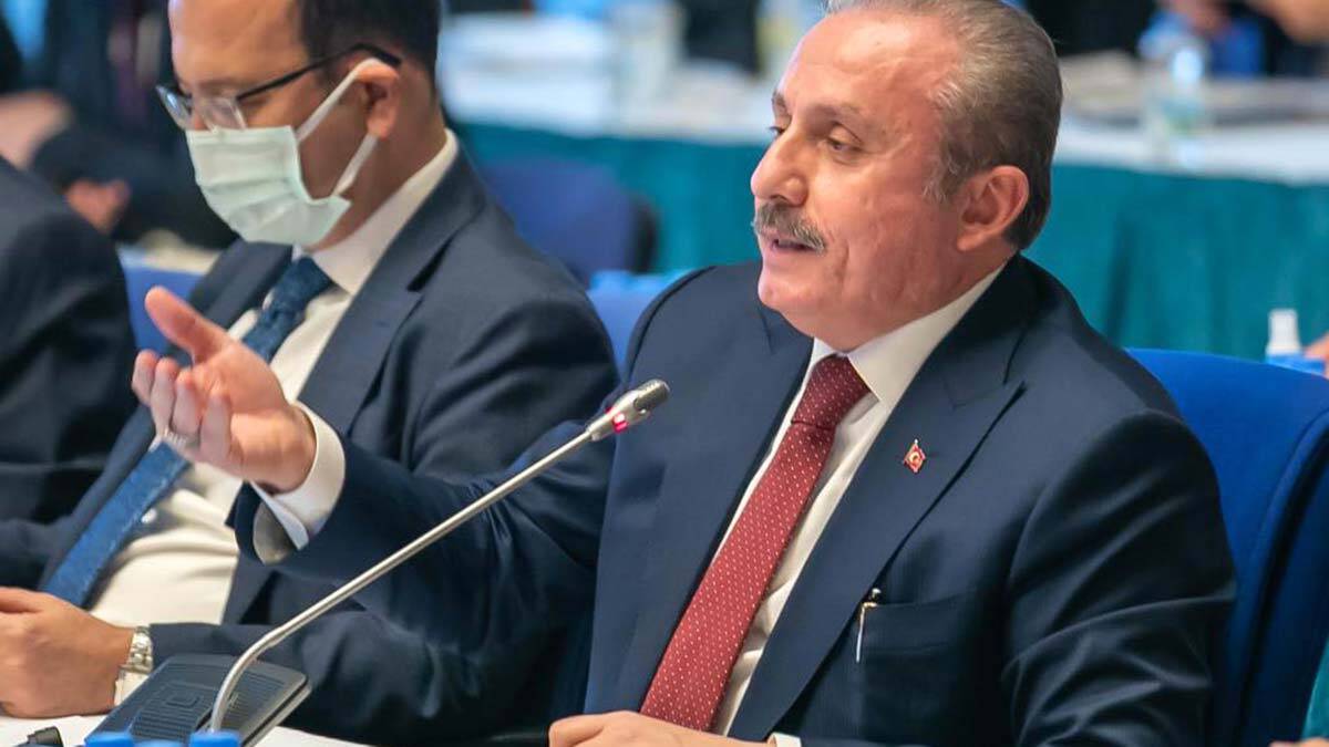 "En kısa zamanda ve inşallah bu yasama yılı içerisinde Gazi Meclis'imize nasip olur" 