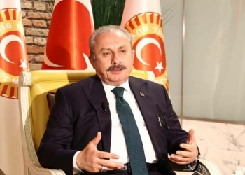TBMM Başkanı: Çalışma iradelerini G20'ye taşımalıdır