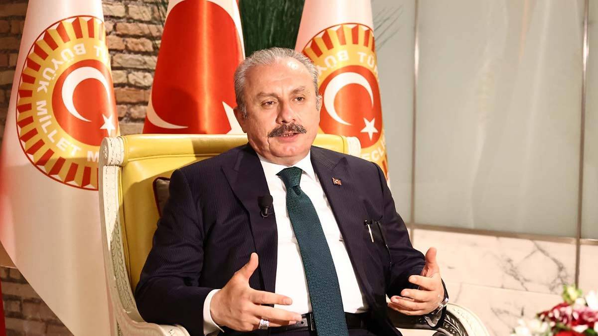 TBMM Başkanı: Çalışma iradelerini G20'ye taşımalıdır