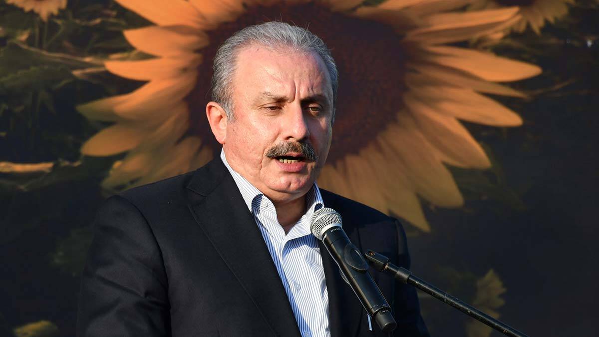 TBMM Başkanı: Cumhuriyet Bayramı'nı tebrik ediyorum