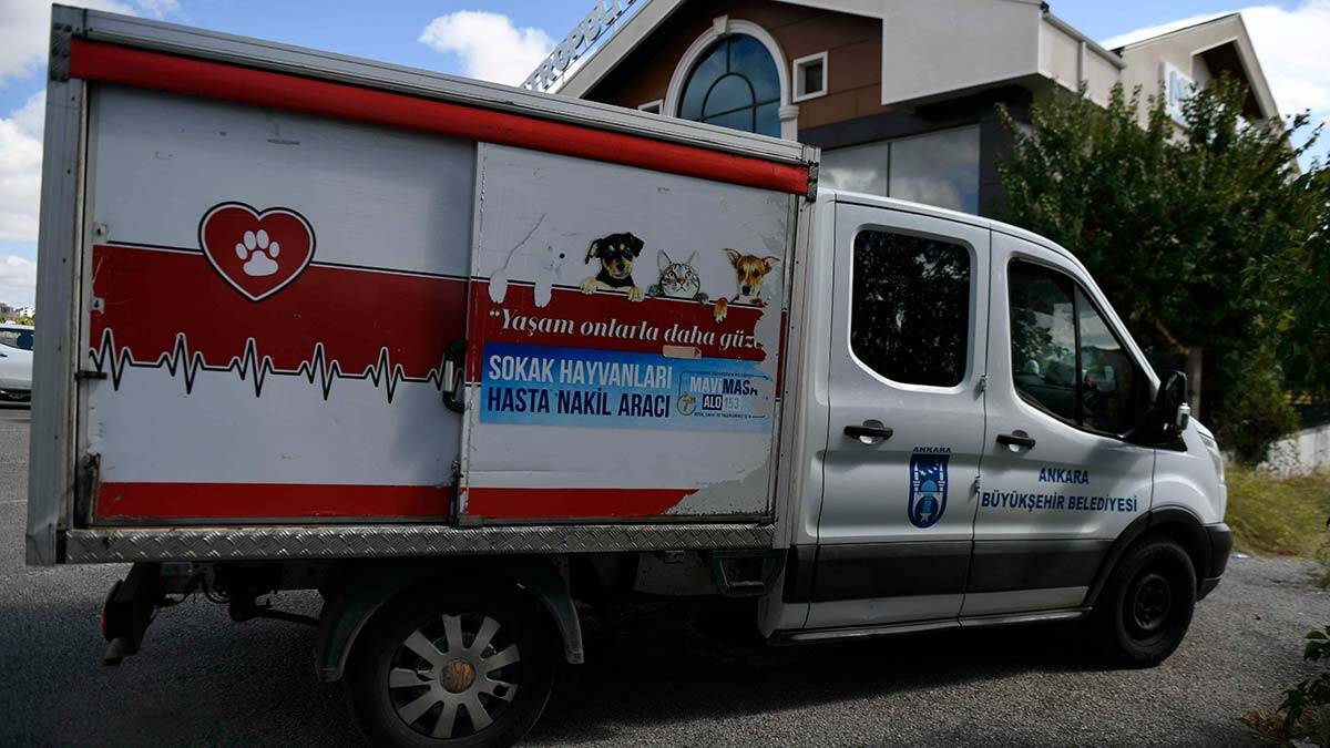 Büyükşehir 11 Özel Hayvan Hastanesi ile el ele