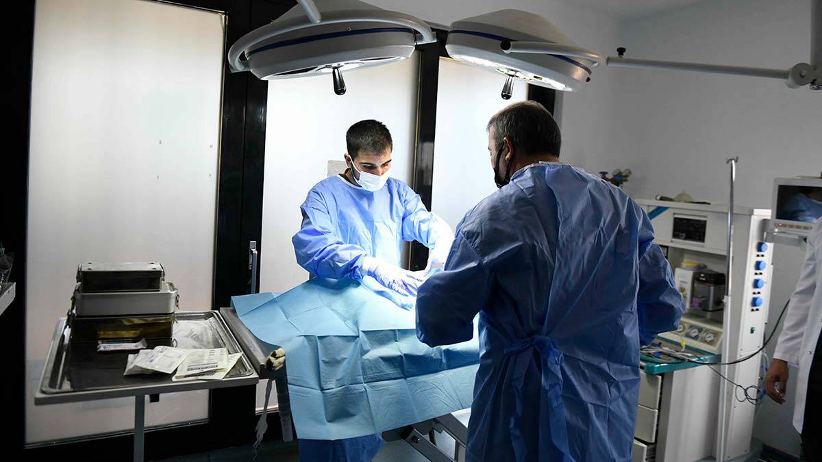 Büyükşehir 11 Özel Hayvan Hastanesi ile el ele