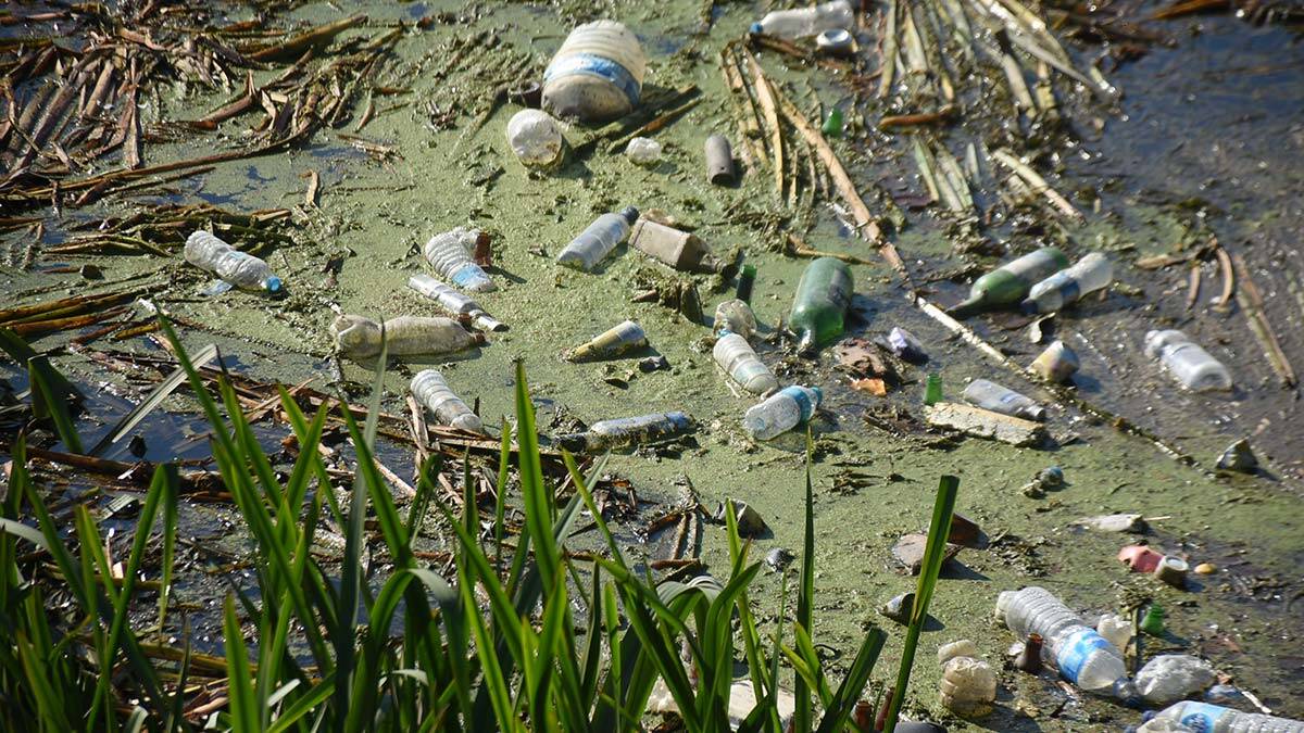 "Su ya atılan atıklar canlılara da zarar veriyor "