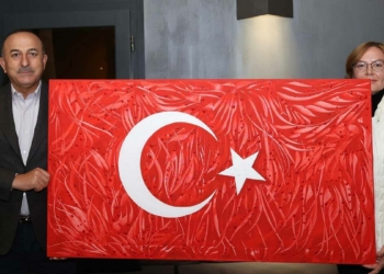 Ukraynalı ressamdan Çavuşoğlu'na resim hediyesi