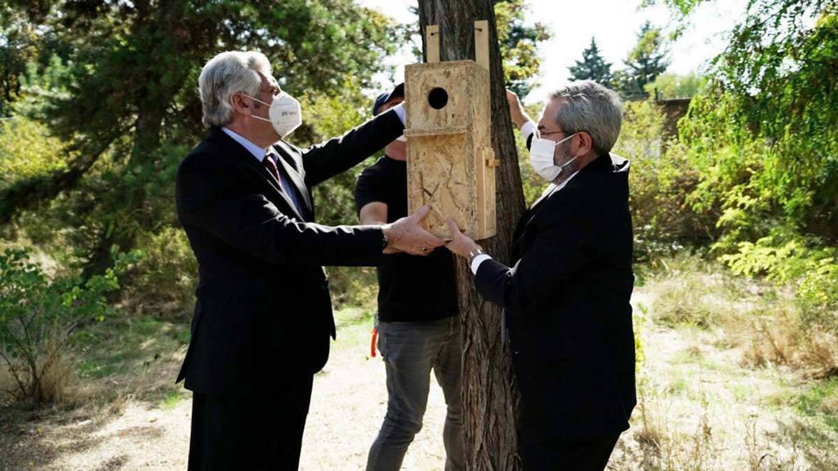 Üniversite kampüsünde sincaplara yuva kuruldu