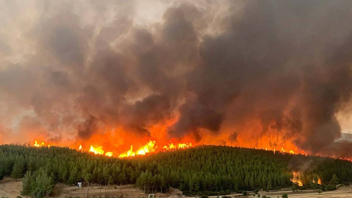 Uzmanlardan yangın eylem planları önerisi