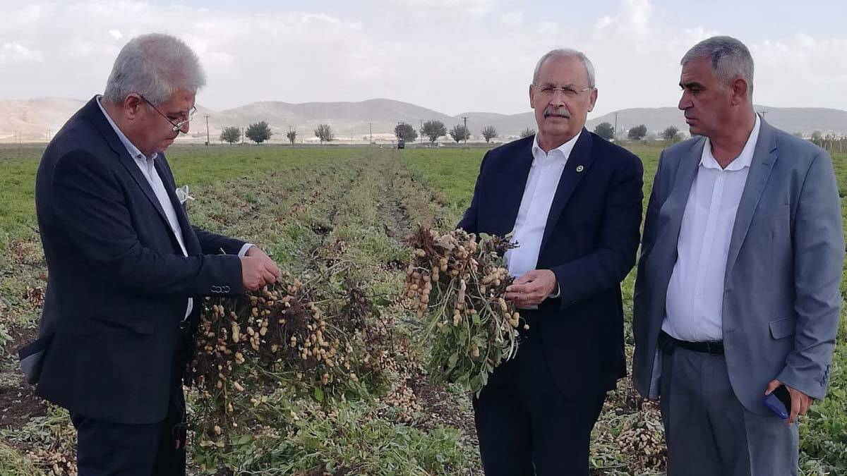 Yer fıstığı üreticilerinin sorunları dinlendi