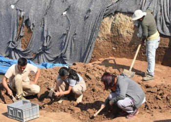 Yassıtepe'de balık pulu temizleme aleti bulundu