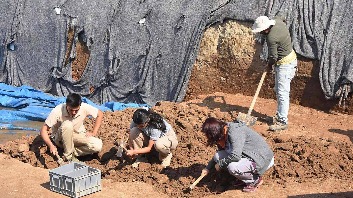 Yassıtepe'de balık pulu temizleme aleti bulundu